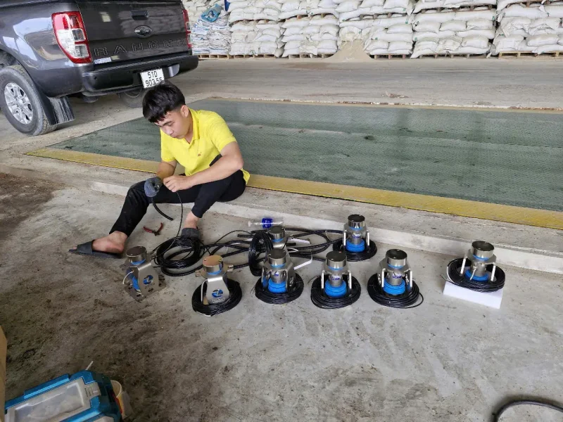 Dự-án-Công-ty-TNHH-Nông-Nghiệp-Bình-Chánh-Tiền-Giang