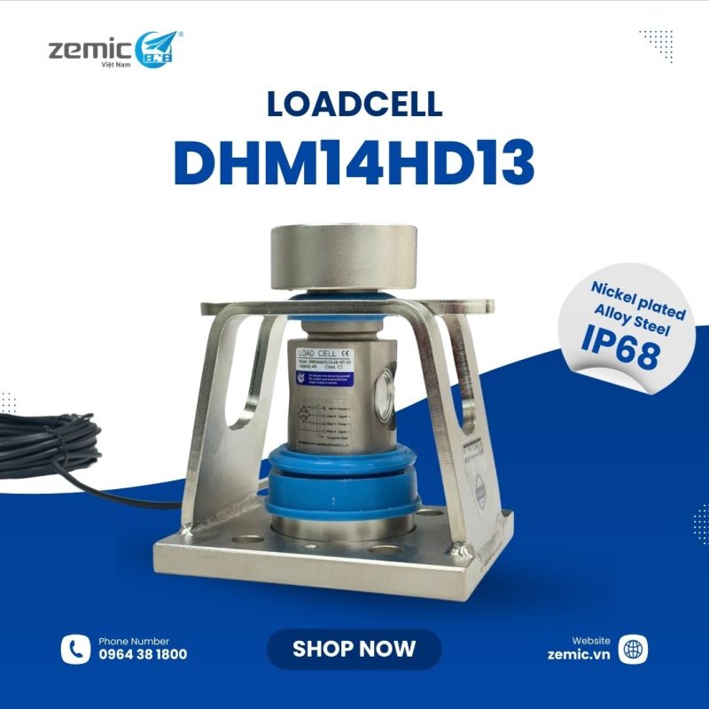 DHM14Hd13 (1)