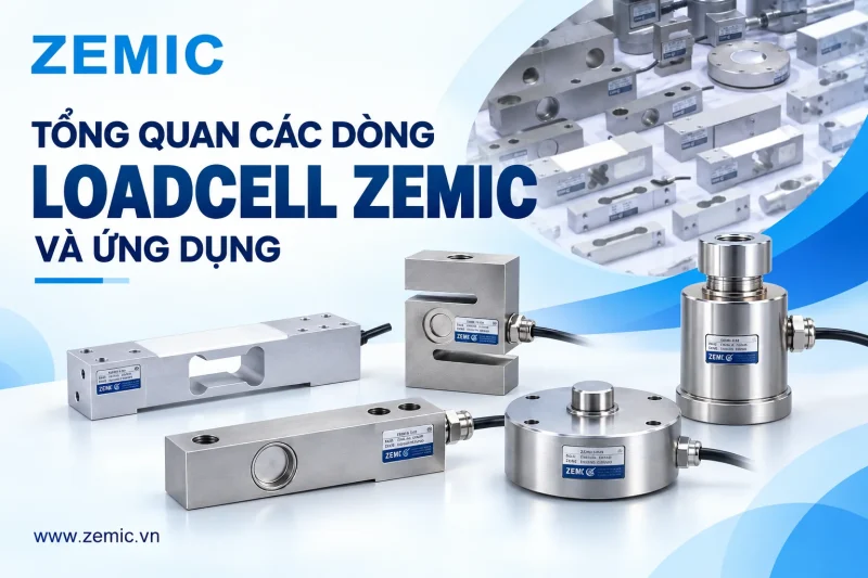 Loadcell số 1