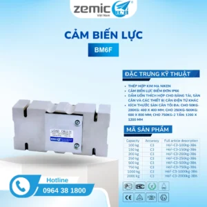 ZEMIC-Loadcell-BM6F