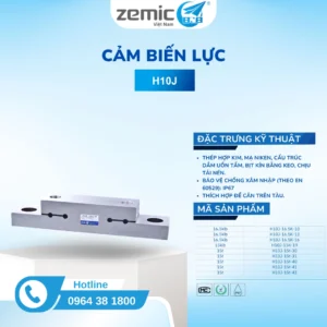 CAM-BIEN-LUC-H10J