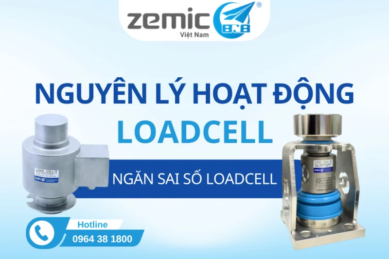 Ảnh đại diện Tin tức (4)