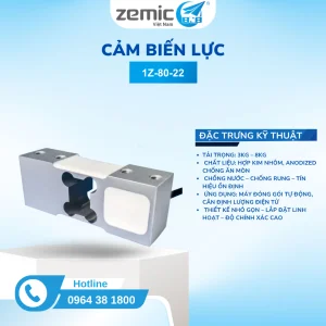 Loadcell 1Z 80 22
